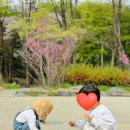 상남농장 이미지