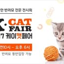 CAT 이미지