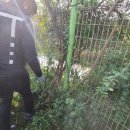 태안나비 이미지