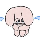 잠실숲사랑니구강악안면외과치과의원 네이버블로그