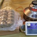 황제쑥뜸기 이미지