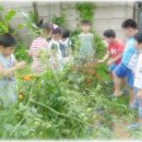 참빛농장 이미지