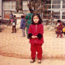 메모리스타 이미지