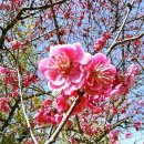 한라아파트 이미지