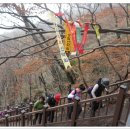 지리산 산사랑펜션 | 담양 추월산(11. 11. 12) 산림청/인기 백대명산 제87위