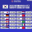 2022 VNL 실시간 달글 이미지