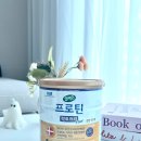 다옴plus