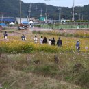 북천 공중화장실 이미지