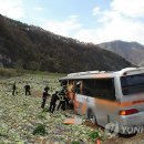 김삿갓면-39 이미지