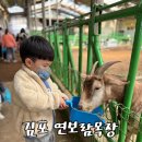 두화목장 | 김포 아이랑 주말에 가볼 만한 연보람 목장 낙농체험 &amp; 피자 만들기 체험