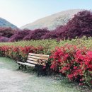 수만리 생태숲공원 이미지