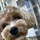 유한동물병원 이미지