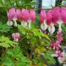 부건농장 이미지