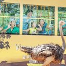 올인원투어 | 🐾 하루 만에 푸꾸옥 북부 제대로 정복[QR+차량] 푸꾸옥 빈펄 올인원 렌트카 투어 후기 🚗🎡