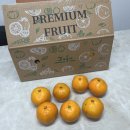 사랑보따리 | 제주감귤보따리 제주 노지 감귤 5kg 후기