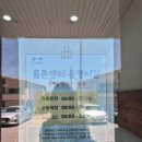 홀론테라피