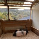 송산목장 이미지