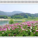 방축골