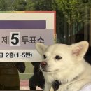 성남종합운동장 게이트볼장 이미지