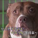 99 네이버블로그