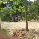 굴지농원 이미지