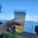 만남펜션 | 삼척 펜션휴가 솔직평가...리조트 대신 선택한 이유와 아쉬움 내돈내산 솔직후기