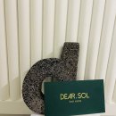 DEAR SOL 이미지