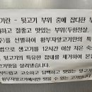 황부자앞고기