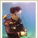 엘시엘로 이미지