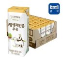 우유 - 중구 남산로7길 44 | 우유