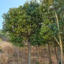 수종농장 이미지