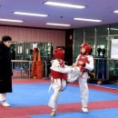 용인대석사 드림태권도장 이미지