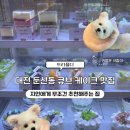 은평감리교회 어린이집 | 디저트 진심녀가 추천하는 [트리플디] - 대전 둔산동 보틀 케이크 맛집