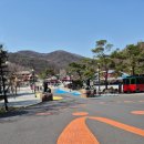 가기 좋은 리조트) 증평 벨포레 리조트 미티어아트센터, 밤밤테이블, 양떼목장, 남도예담, 놀이동산 후기