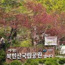 김밥천국 백운점 | 북한산 백운대 코스 초보 첫등산 후기(feat. 크록스)