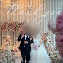 레디카서비스 | Wedding log - 🌸더세인트 파노라마홀🌸 25년 봄 예식 본식 찐후기(첫 식 11시 솔직후기)