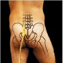 Re:＜요추 6단계＞ 좌골신경통 이미지