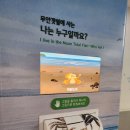 무안황토갯벌랜드 생태갯벌과학관 | 아이랑 가기좋은 무안황토갯벌랜드 무안생태 갯벌과학관