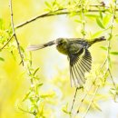 장머리방 이미지