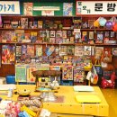 남일카페 | 목포 신상 카페 버스터미널 근처 민들레영토 교복 대여부터 만화책까지 레트로 감성 후기