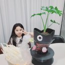 느리울초교병설 이미지