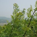 김종배농장 이미지