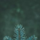 해솔한의원 이미지