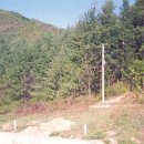 무풍주유소 이미지