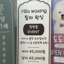 릴라 | 마곡 마곡나루왁싱 릴라왁싱 후기