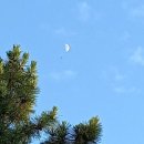 낮달 - 울주군 구영로 216-3 | 낮달