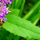 로하우스 이미지