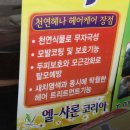 엘샤론코리아 이미지