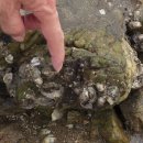 매바위 화장실 이미지