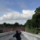 헤드클럽 | 발리 스미냑 포테이토헤드 비치클럽 및 조식 후기